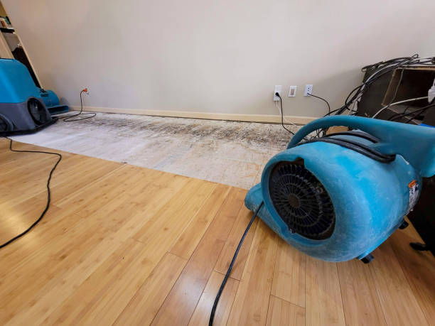 Professional Flood Damage Cleanup technician working in DeWitt, MI
